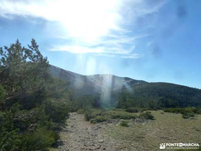 Loma del Noruego y Pinares de Valsaín;senderismo en almeria madrid sierra norte granada alpujarras 